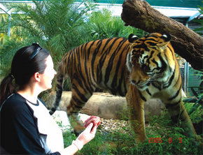 Crocodylus Park - Accommodation Rockhampton 1