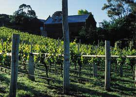Goona Warra Vineyard - Accommodation Rockhampton 1