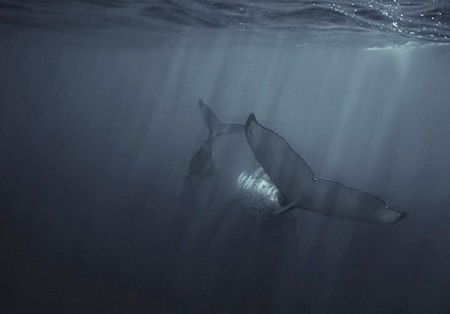 Eleven40 Gallery - Accommodation Rockhampton 4