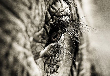 Eleven40 Gallery - Accommodation Rockhampton 5