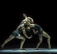 Sydney Dance Company - Accommodation Rockhampton