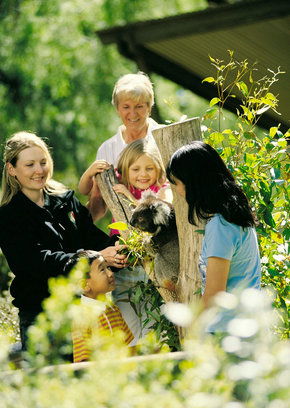 Cleland Wildlife Park - Accommodation Rockhampton 5