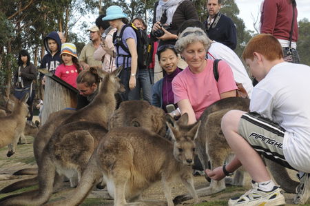 East Coast Natureworld - Accommodation Rockhampton 4