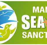 Manly SEA LIFE Sanctuary - Accommodation Rockhampton