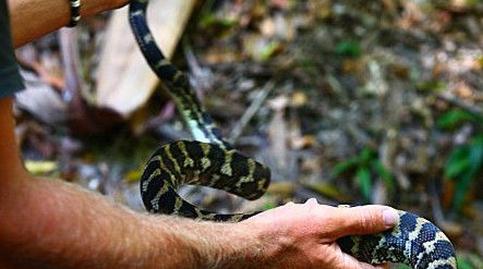 Queensland Day Tours - Accommodation Rockhampton 1