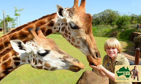 Australia Zoo - Accommodation Rockhampton 4