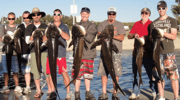 BKs Gold Coast Fishing Charters - Accommodation Rockhampton 1
