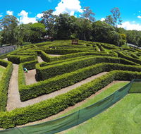 Bellingham Maze - Accommodation Rockhampton