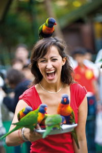 Currumbin Wildlife Sanctuary - Accommodation Rockhampton 10