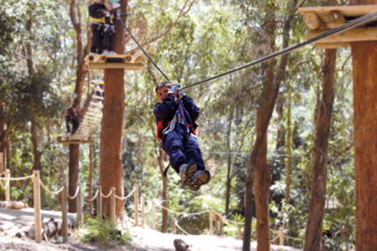 Currumbin Wildlife Sanctuary - Accommodation Rockhampton 11