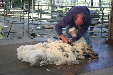 Caversham Wildlife Park - Accommodation Rockhampton 3