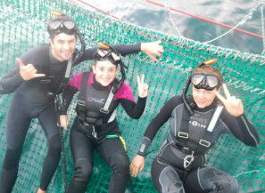 Dolphin Swim Australia - Accommodation Rockhampton 7