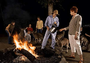 Cairns Night Zoo - Accommodation Rockhampton