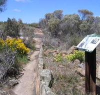 Christmas Rock Walk - Accommodation Rockhampton