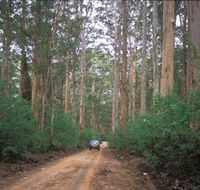 Boranup Drive - Accommodation Rockhampton