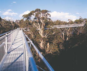 Walpole-Nornalup National Park - Accommodation Rockhampton 0