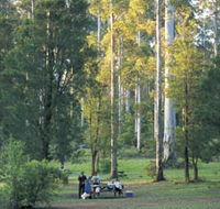 Big Brook Arboretum - Accommodation Rockhampton