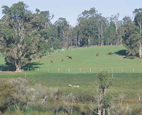 Scenic Drives - Bunbury Collie Donnybrook - Accommodation Rockhampton 0