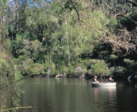 Warren National Park - Accommodation Rockhampton 0