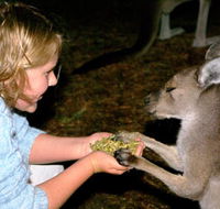 Discovery Bay's Walk on the Wild Side - Accommodation Rockhampton