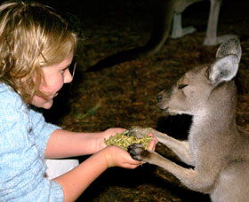 Discovery Bay's Walk On The Wild Side - Accommodation Rockhampton 0
