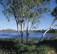 Celebrity Tree Park - Accommodation Rockhampton