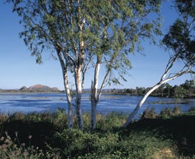 Celebrity Tree Park - Accommodation Rockhampton 0
