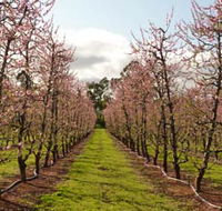 Raeburn Orchards - Accommodation Rockhampton
