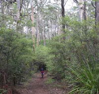 Margaret River Rails Trail - Accommodation Rockhampton