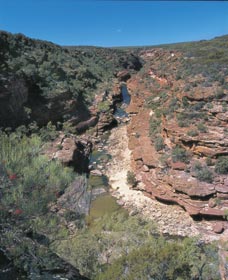 Ross Graham Lookout - Accommodation Rockhampton 0