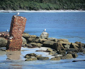 Whalers Beach - Accommodation Rockhampton 0
