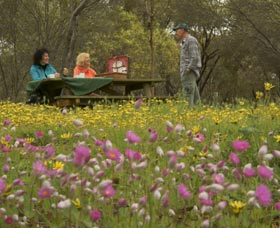 Gwambygine Park - Accommodation Rockhampton 0