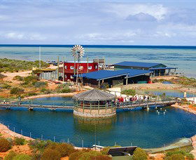 Ocean Park Aquarium - Accommodation Rockhampton 0