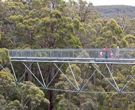 Nornalup WA Accommodation Rockhampton