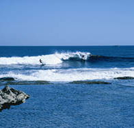 West End - Accommodation Rockhampton