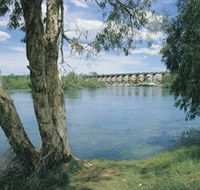 Bandicoot Bar - Accommodation Rockhampton