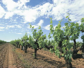 Blackwood Meadery - Accommodation Rockhampton 0