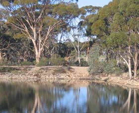 Merredin Railway Dam - Accommodation Rockhampton 0