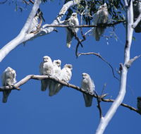 Carawine Gorge - Accommodation Rockhampton