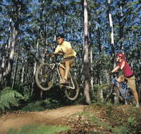 Leeuwin-Naturaliste National Park - Cowaramup - Accommodation Rockhampton