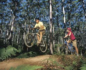 Leeuwin-Naturaliste National Park - Cowaramup - Accommodation Rockhampton 0