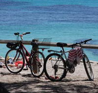 Parker Point Marine Snorkel Trail - Accommodation Rockhampton