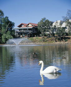 White Swans - Accommodation Rockhampton 0