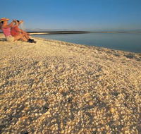 Shell Beach - Accommodation Rockhampton