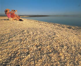 Shell Beach - Accommodation Rockhampton 0