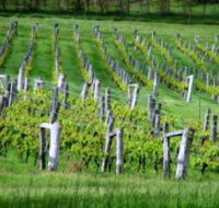 Sienna Estate Winery - Accommodation Rockhampton