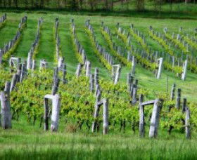 Sienna Estate Winery - Accommodation Rockhampton 0