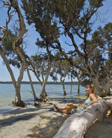 Stokes National Park - Accommodation Rockhampton 0