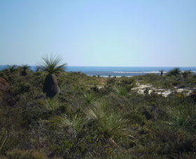 Lesueur National Park - Accommodation Rockhampton 0