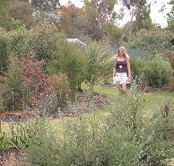 The Mythic Mazes - Accommodation Rockhampton